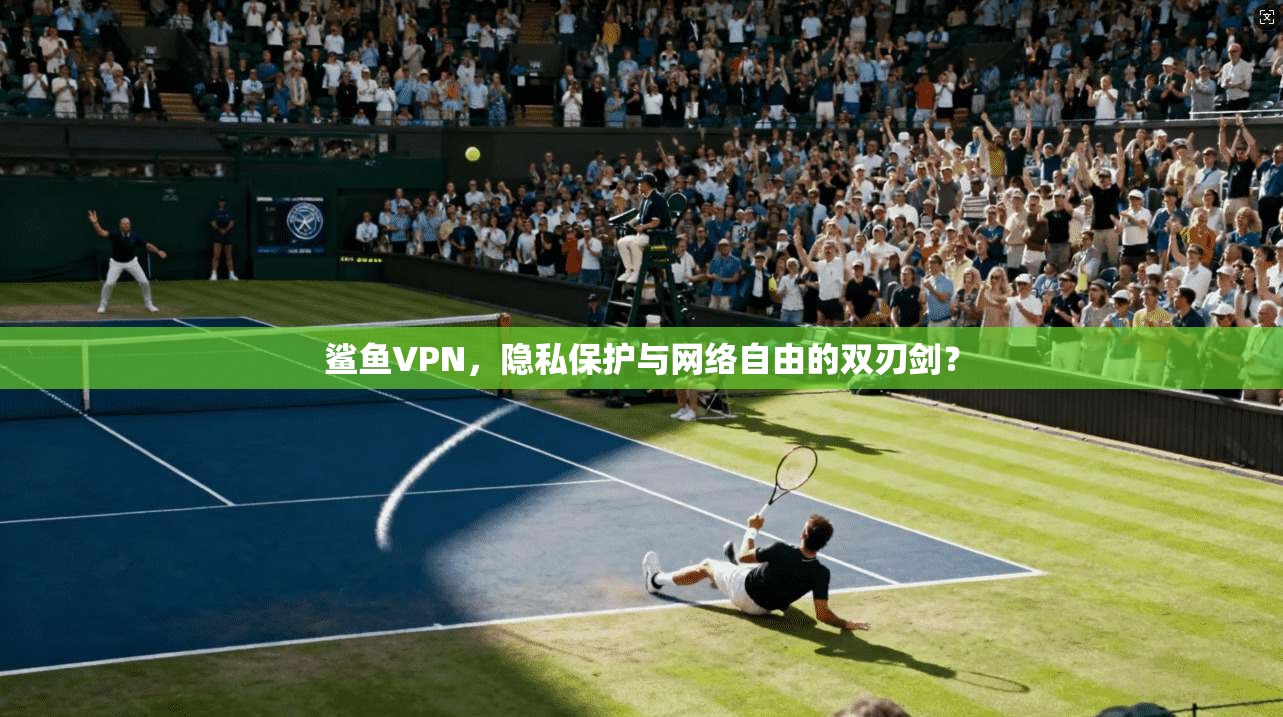 鲨鱼VPN,隐私保护与网络自由的双刃剑?