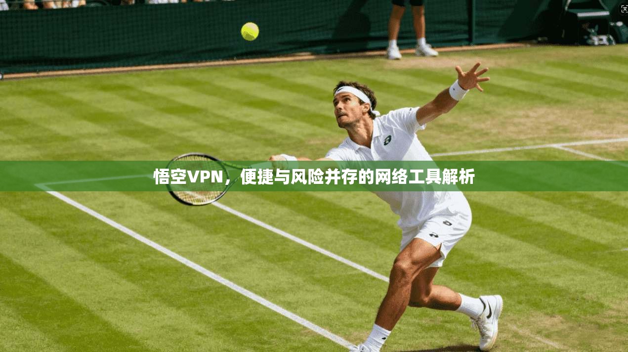 悟空VPN，便捷与风险并存的网络工具解析