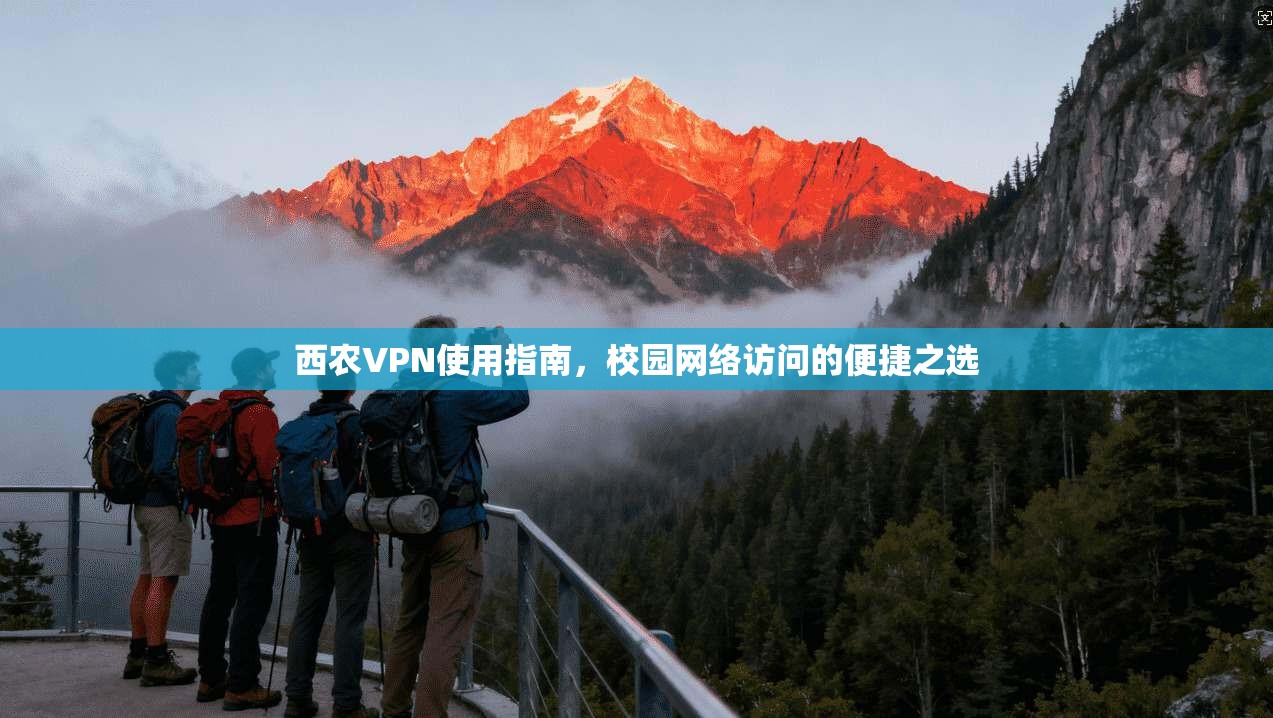 西农VPN使用指南，校园网络访问的便捷之选