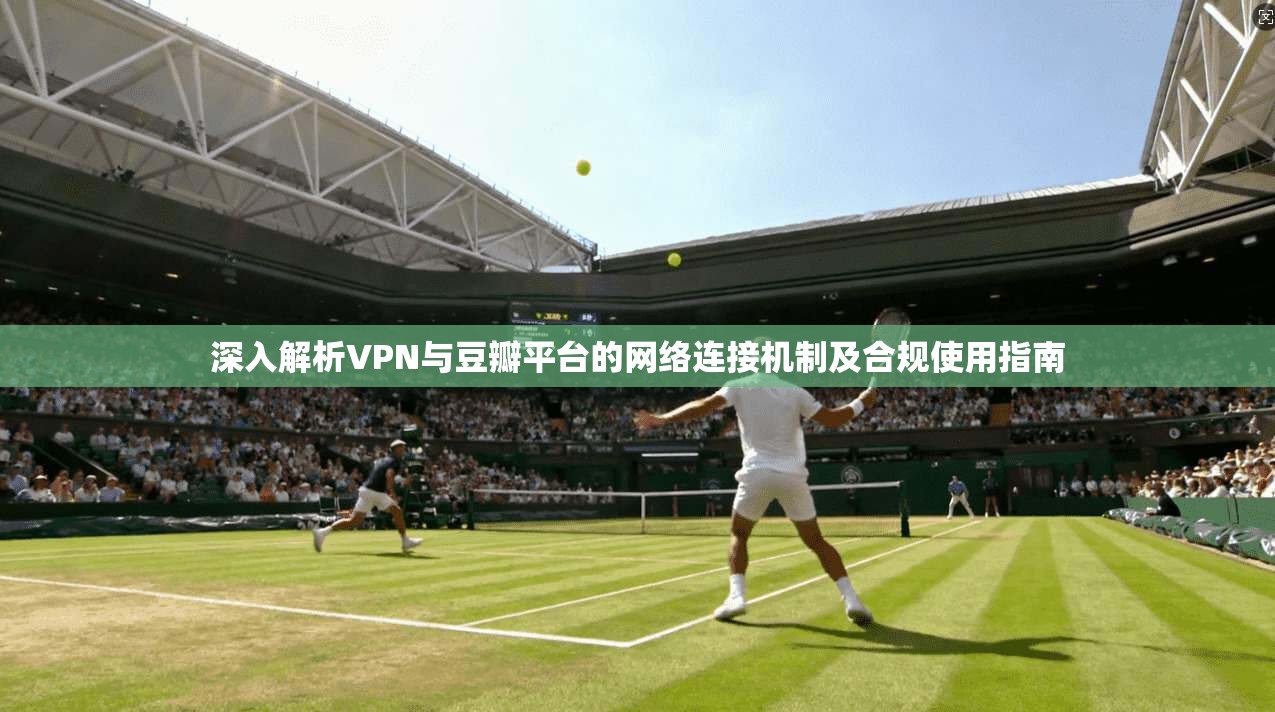 深入解析VPN与豆瓣平台的网络连接机制及合规使用指南