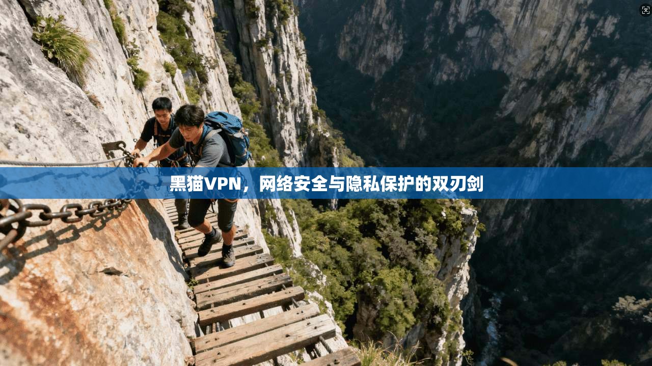 黑猫VPN，网络安全与隐私保护的双刃剑