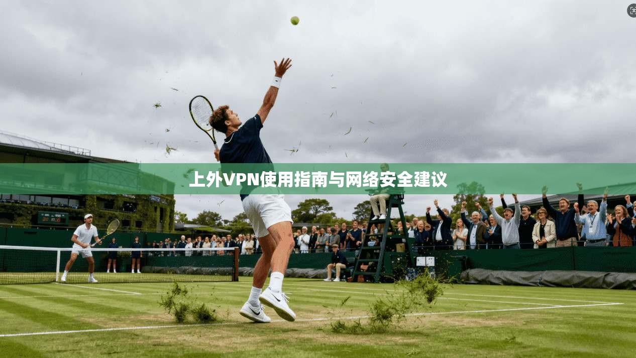 上外VPN使用指南与网络安全建议