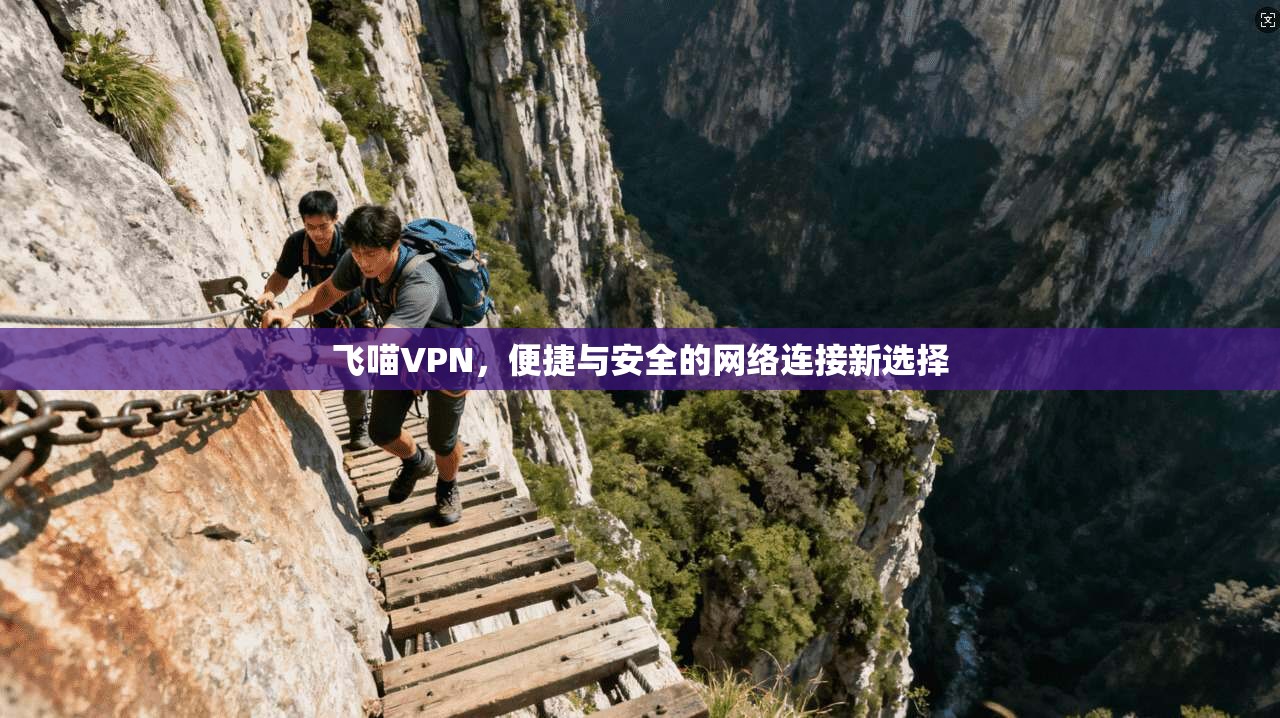 飞喵VPN，便捷与安全的网络连接新选择