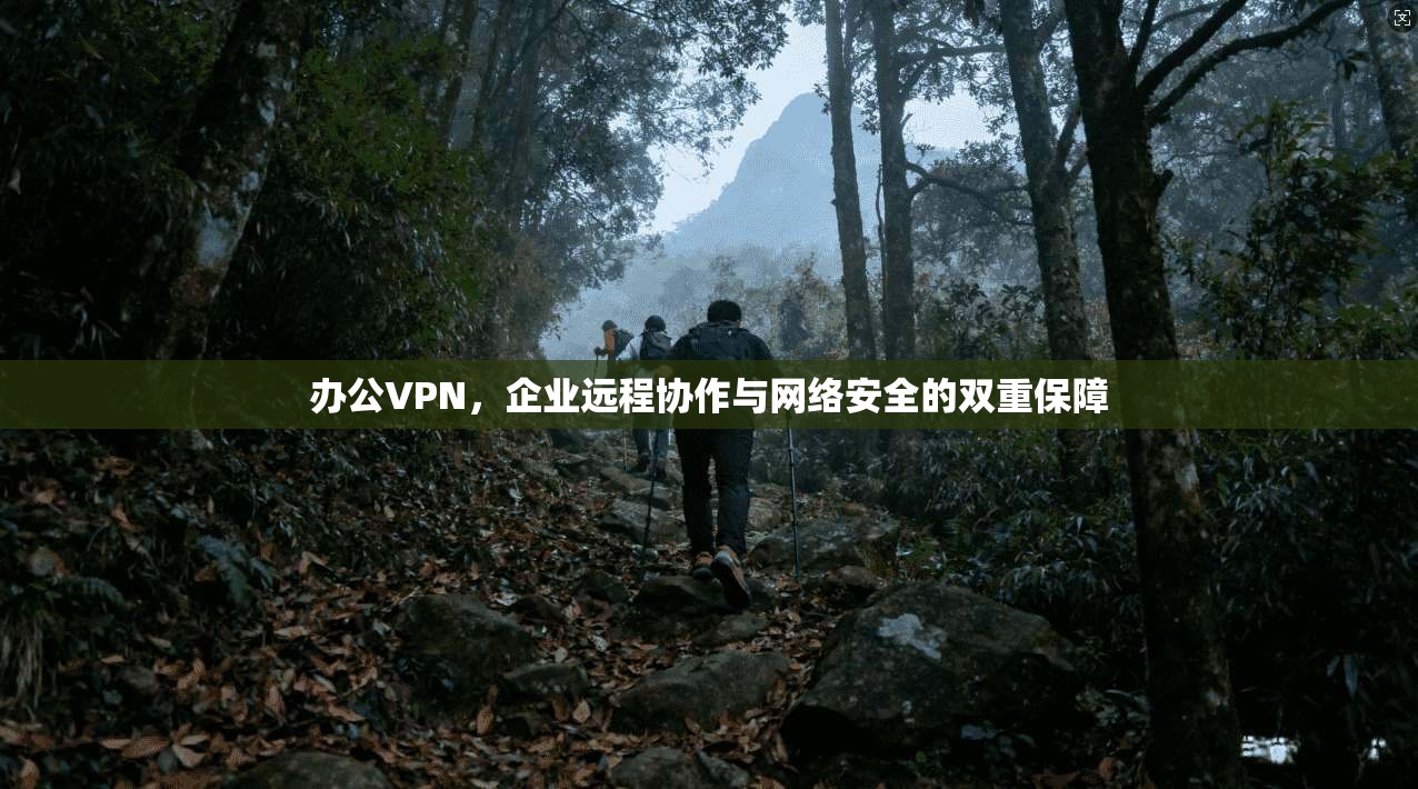 办公VPN，企业远程协作与网络安全的双重保障