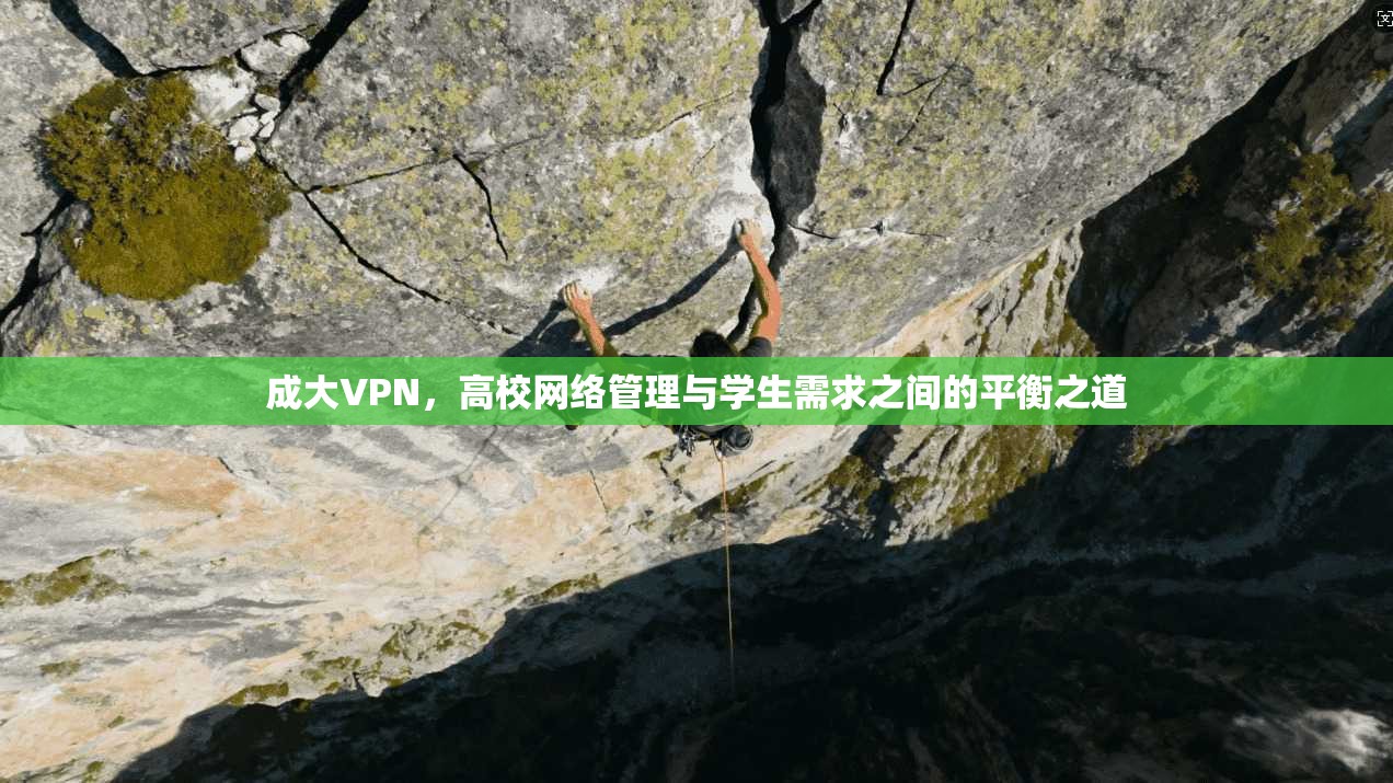 成大VPN，高校网络管理与学生需求之间的平衡之道