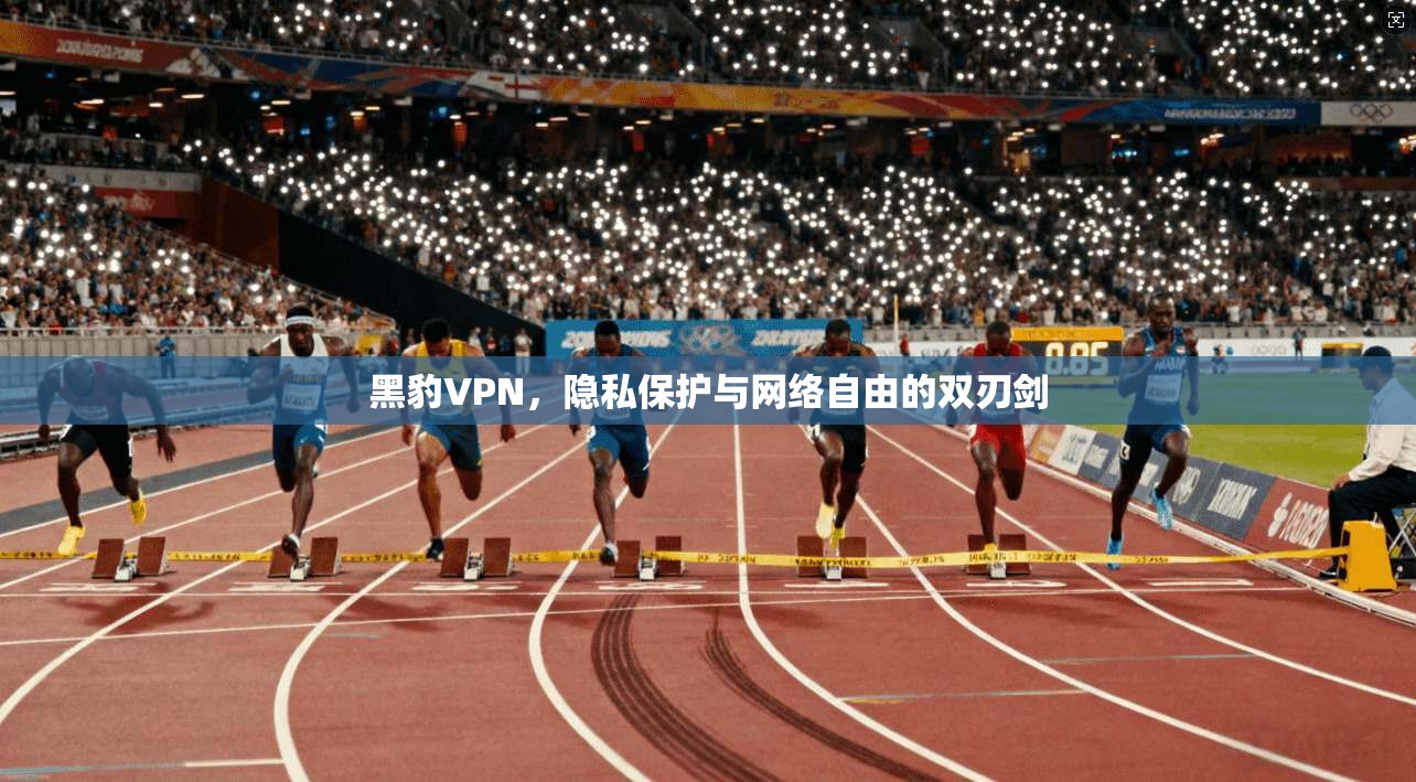 黑豹VPN，隐私保护与网络自由的双刃剑