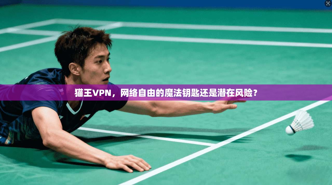 猫王VPN，网络自由的魔法钥匙还是潜在风险？