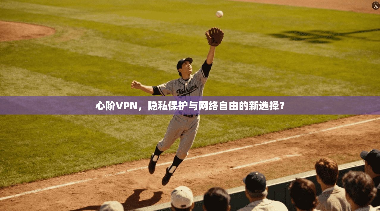 心阶VPN，隐私保护与网络自由的新选择？