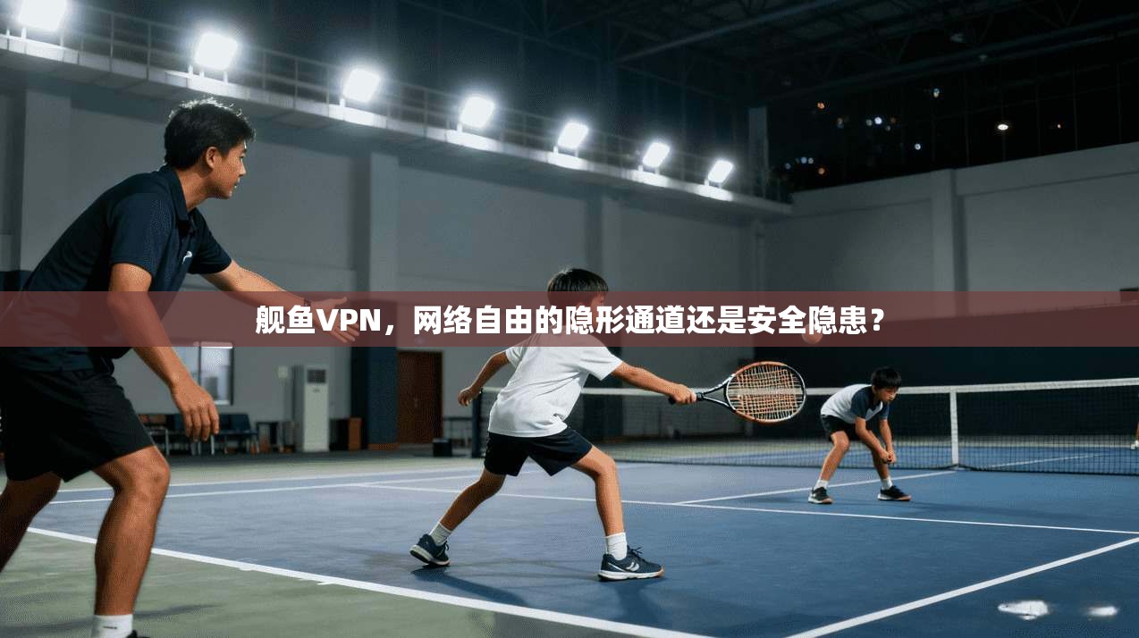 舰鱼VPN，网络自由的隐形通道还是安全隐患？