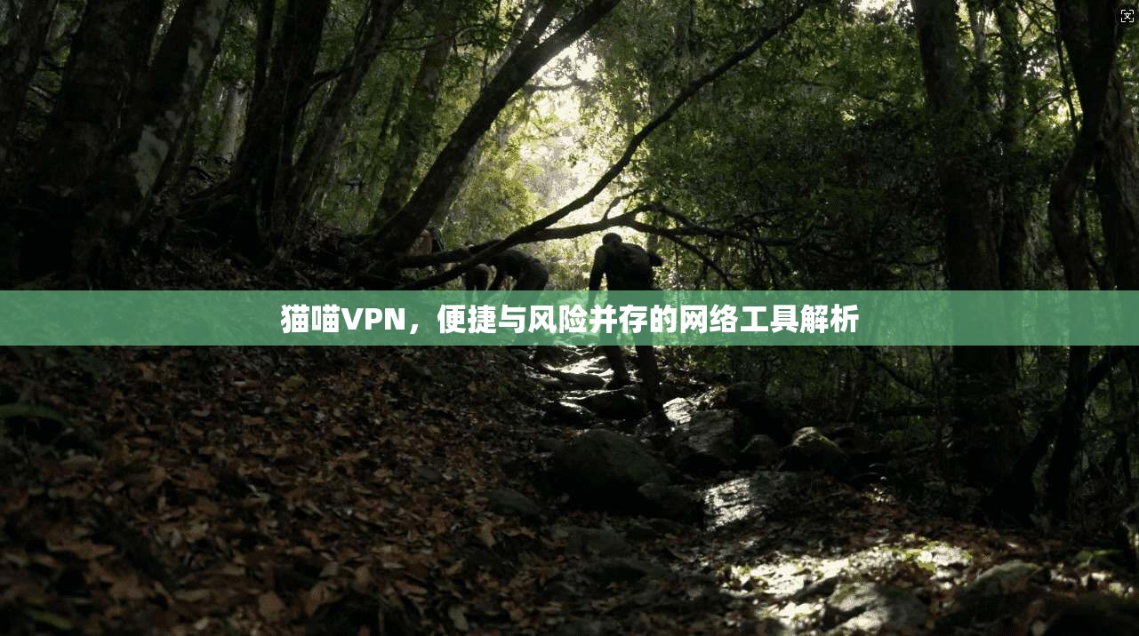猫喵VPN，便捷与风险并存的网络工具解析