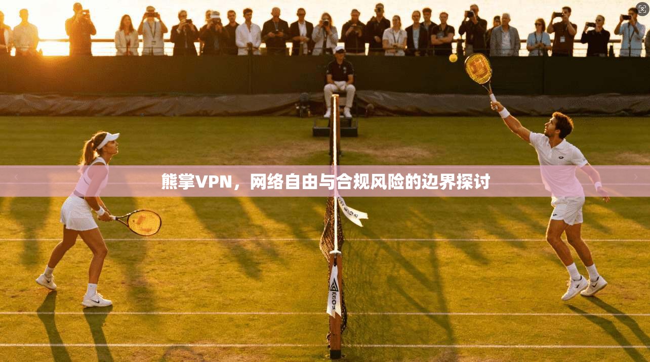 熊掌VPN，网络自由与合规风险的边界探讨