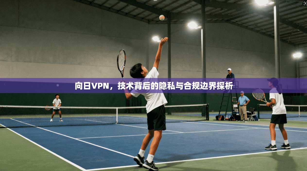 向日VPN，技术背后的隐私与合规边界探析