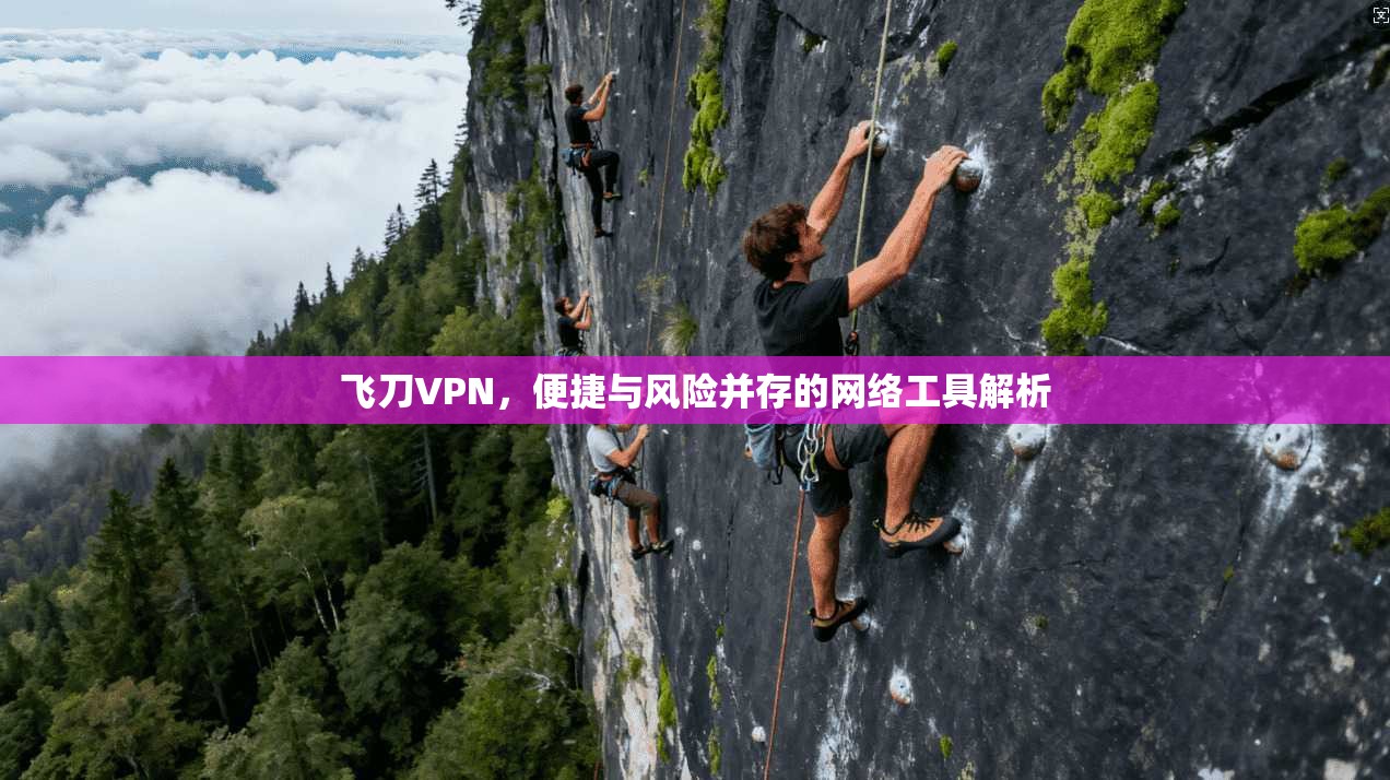 飞刀VPN，便捷与风险并存的网络工具解析
