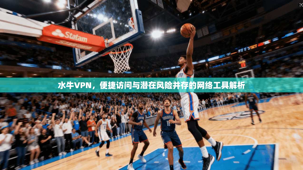 水牛VPN，便捷访问与潜在风险并存的网络工具解析