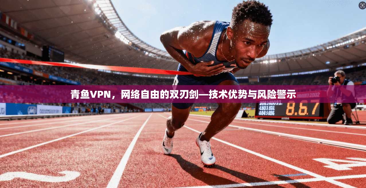 青鱼VPN，网络自由的双刃剑—技术优势与风险警示