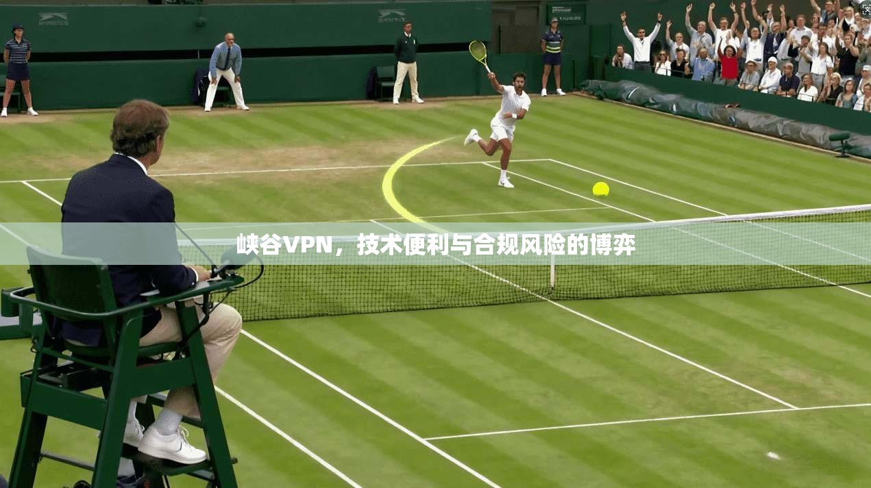 峡谷VPN，技术便利与合规风险的博弈