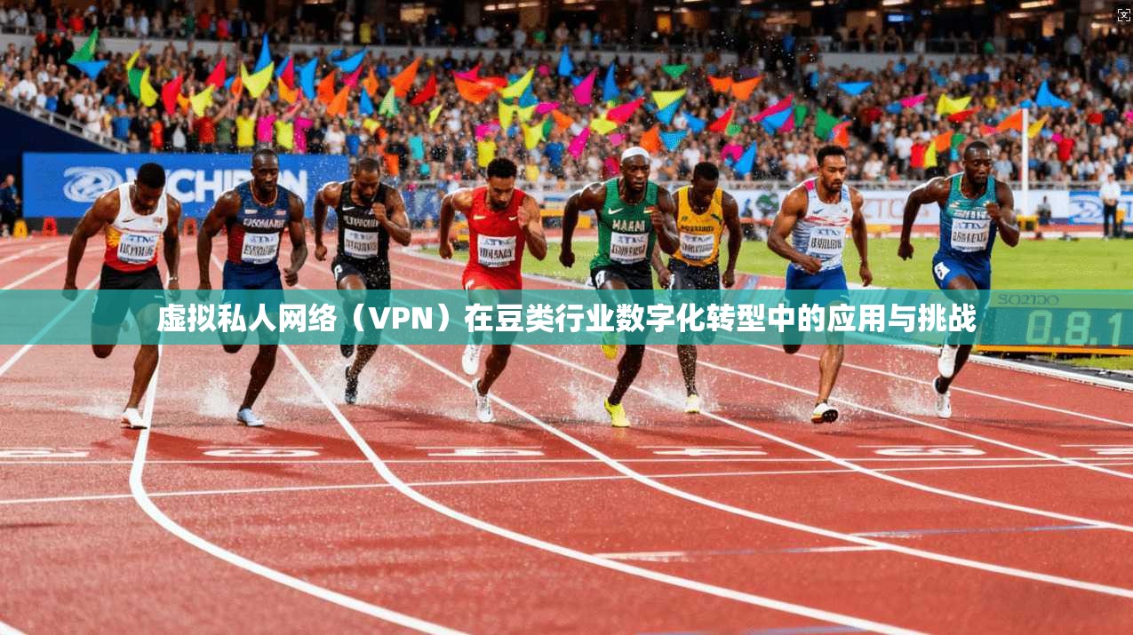 虚拟私人网络（VPN）在豆类行业数字化转型中的应用与挑战