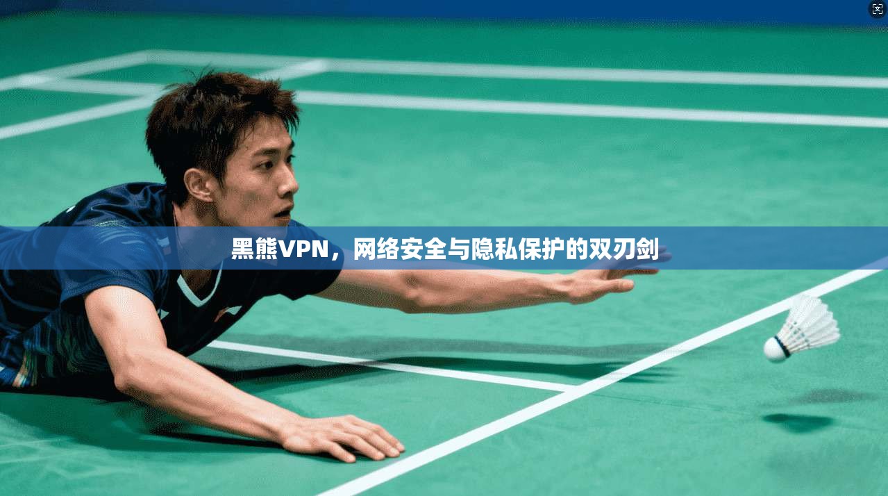 黑熊VPN，网络安全与隐私保护的双刃剑