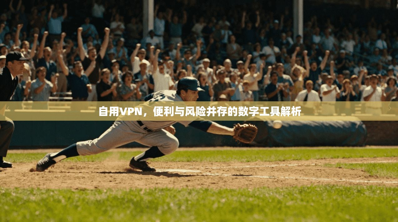 自用VPN，便利与风险并存的数字工具解析