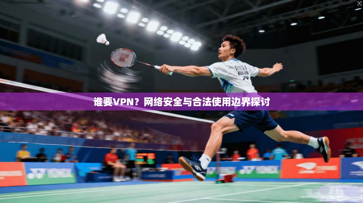 谁要VPN？网络安全与合法使用边界探讨