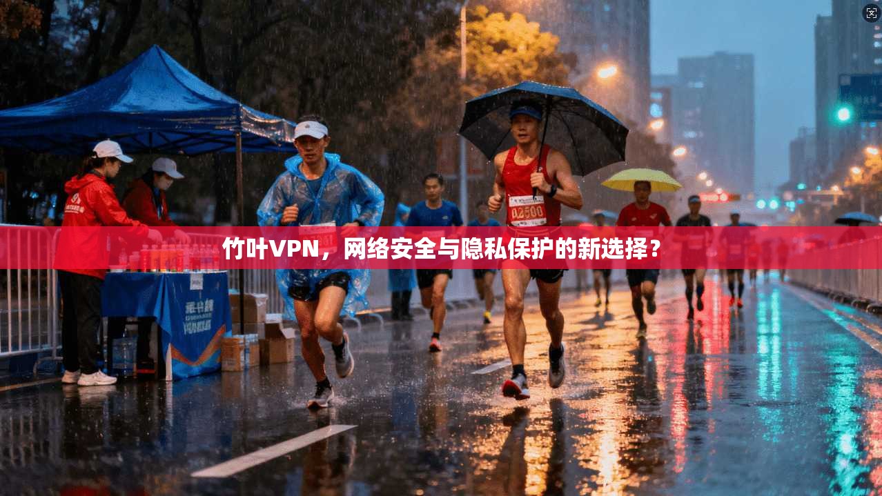 竹叶VPN，网络安全与隐私保护的新选择？