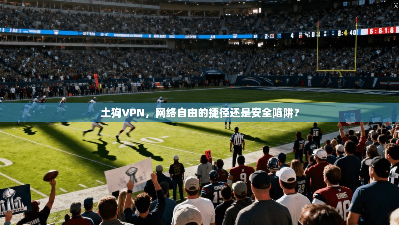 土狗VPN，网络自由的捷径还是安全陷阱？