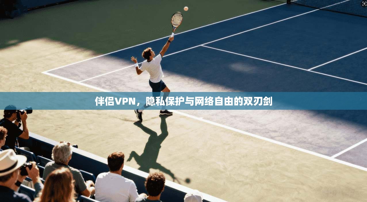 伴侣VPN，隐私保护与网络自由的双刃剑