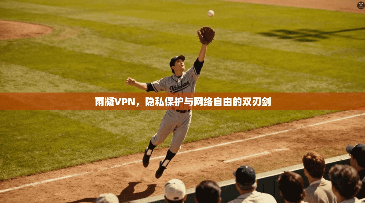 雨凝VPN，隐私保护与网络自由的双刃剑