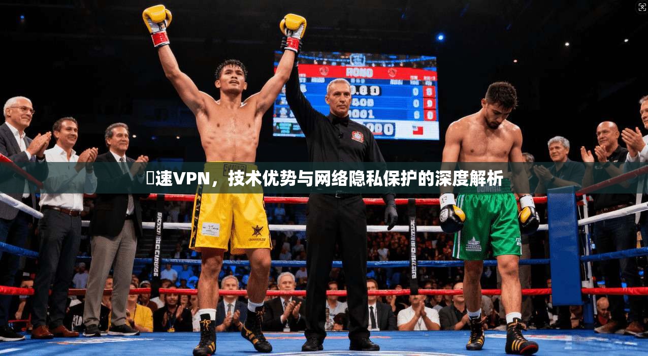 樂速VPN，技术优势与网络隐私保护的深度解析