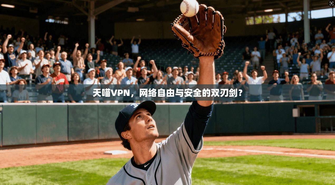 天喵VPN，网络自由与安全的双刃剑？