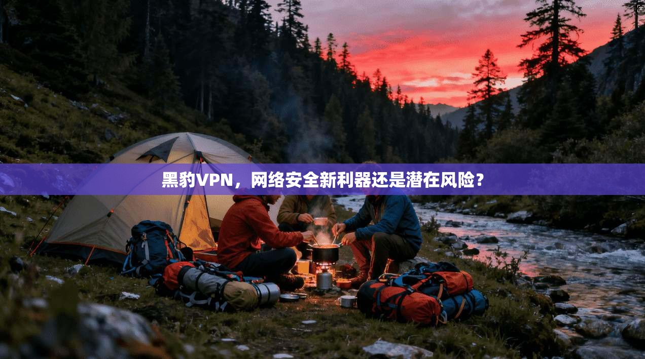 黑豹VPN，网络安全新利器还是潜在风险？