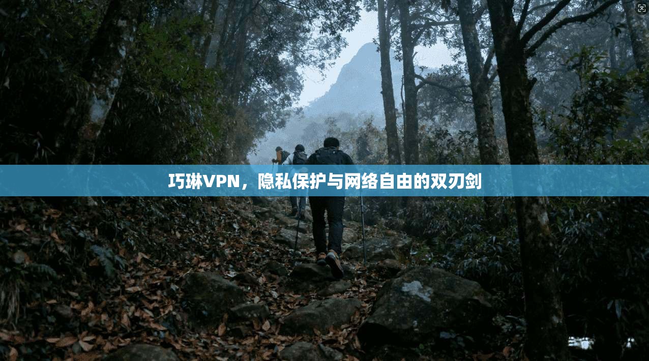 巧琳VPN，隐私保护与网络自由的双刃剑