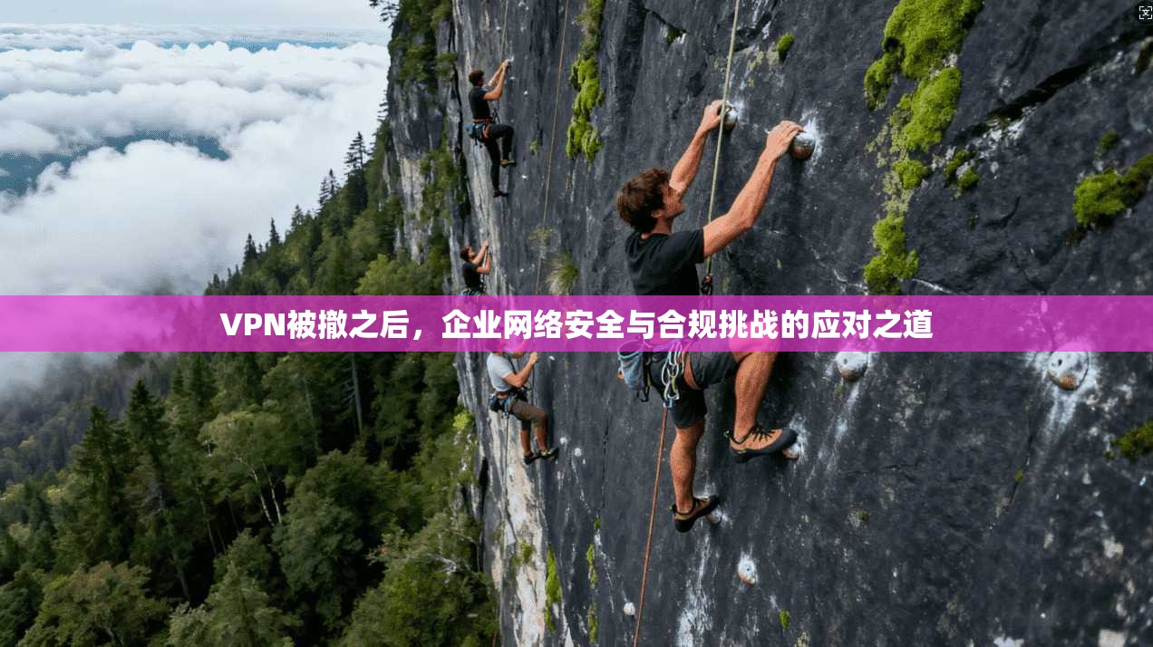 VPN被撤之后，企业网络安全与合规挑战的应对之道