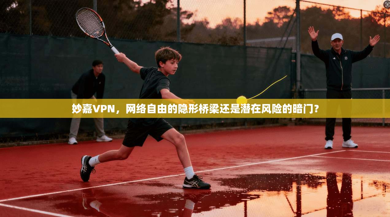 妙嘉VPN，网络自由的隐形桥梁还是潜在风险的暗门？