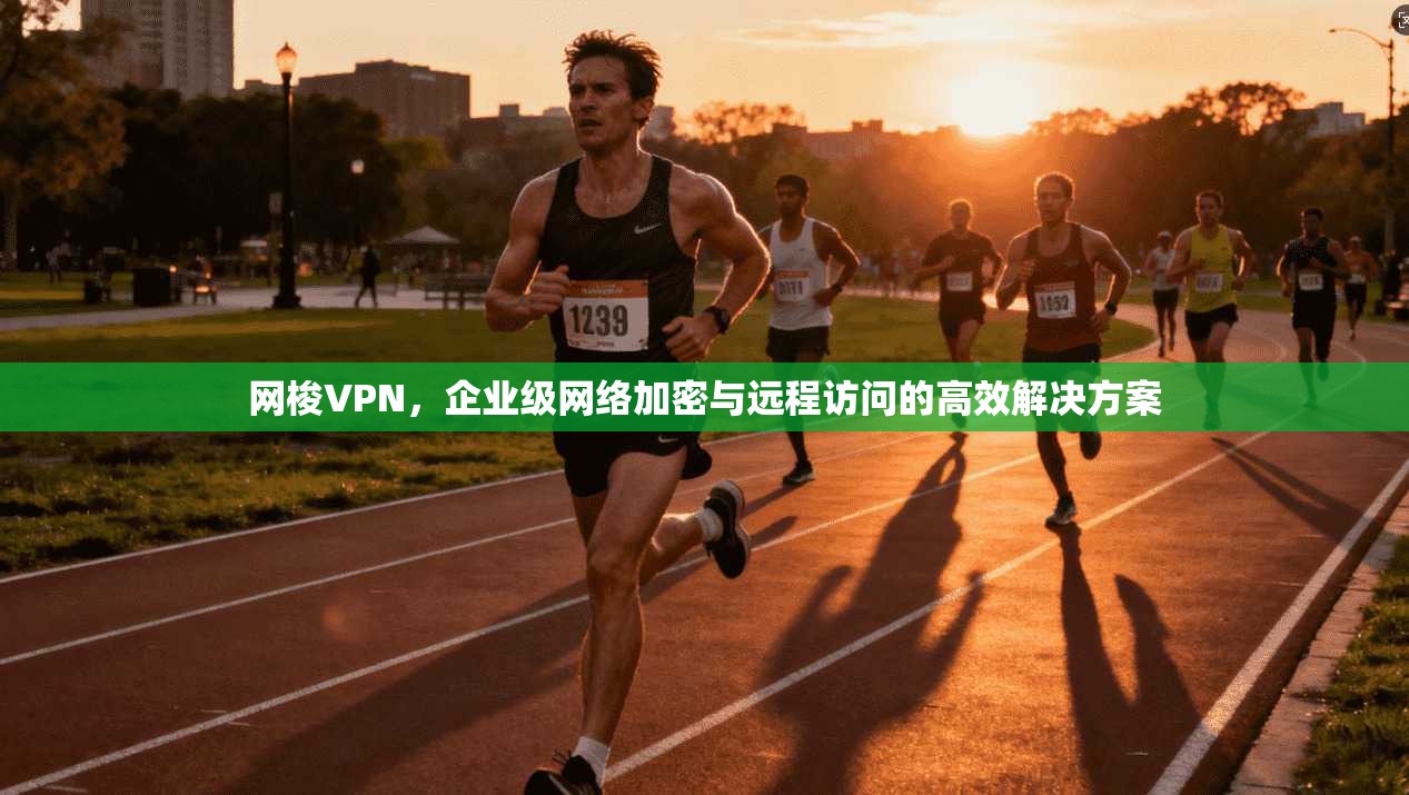 网梭VPN，企业级网络加密与远程访问的高效解决方案