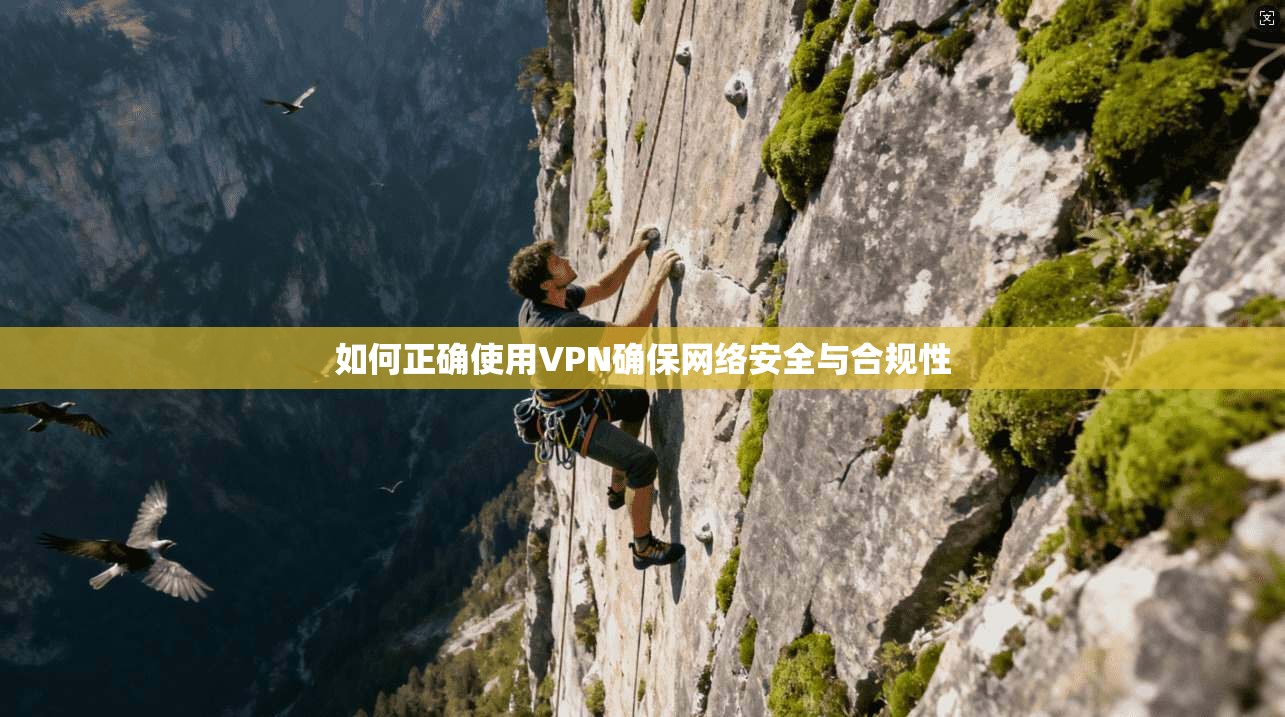 如何正确使用VPN确保网络安全与合规性