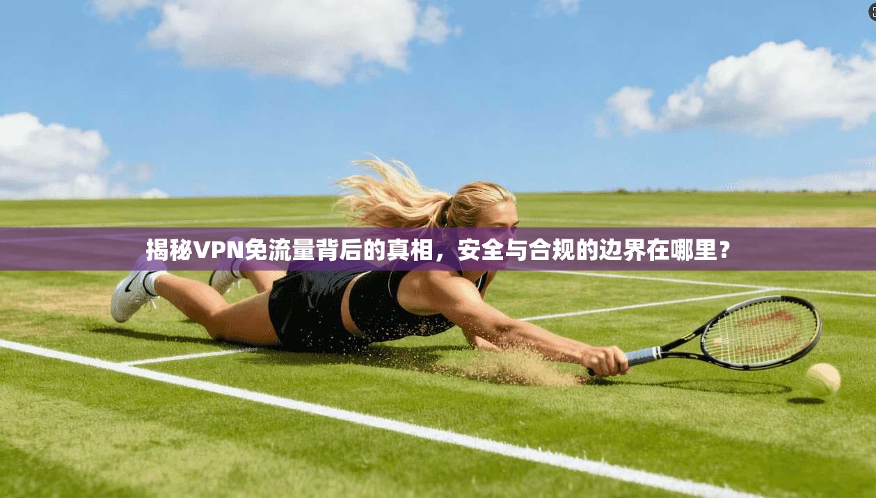 揭秘VPN免流量背后的真相，安全与合规的边界在哪里？