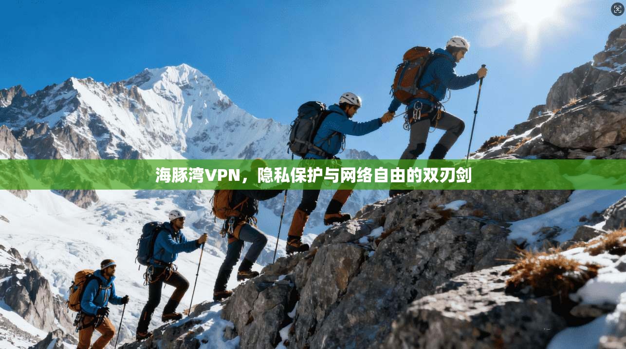 海豚湾VPN，隐私保护与网络自由的双刃剑