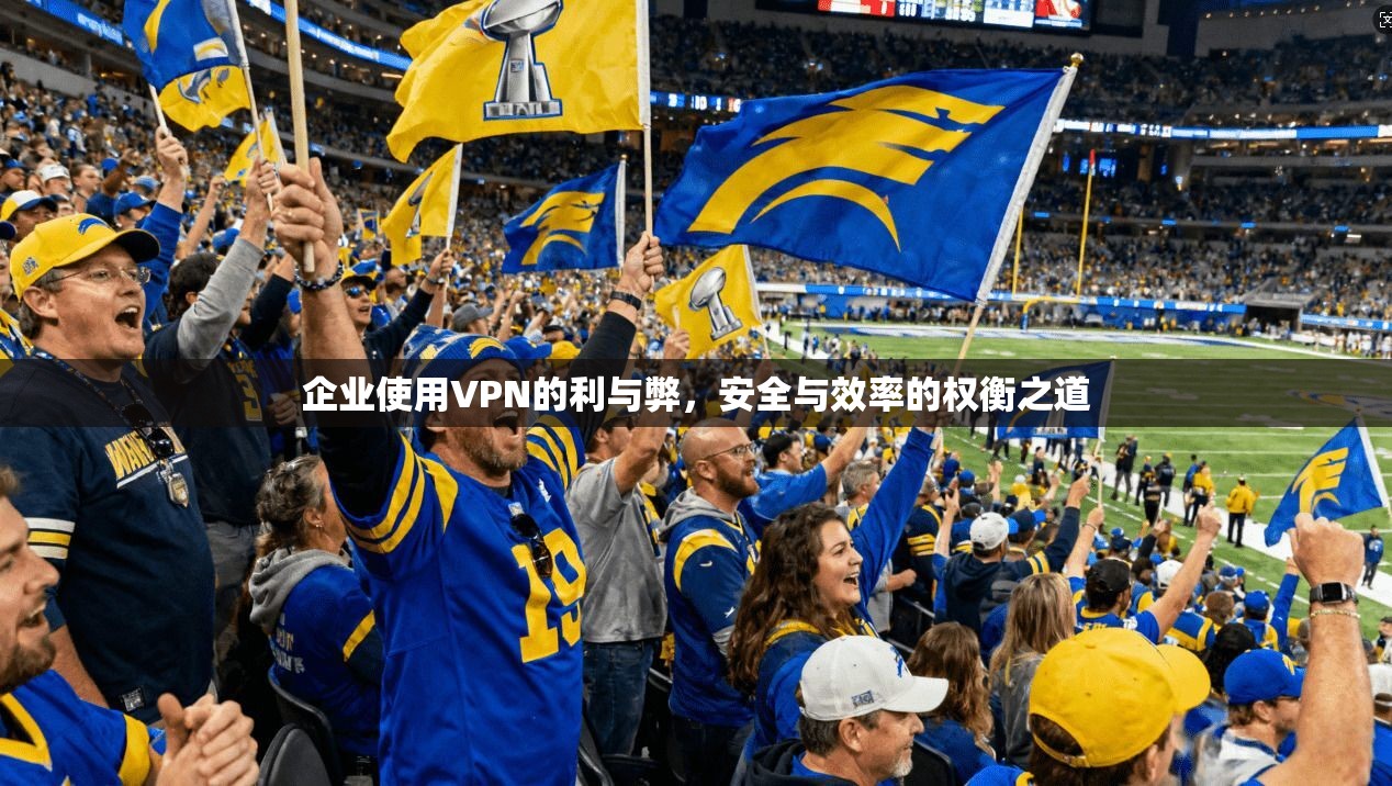 企业使用VPN的利与弊，安全与效率的权衡之道
