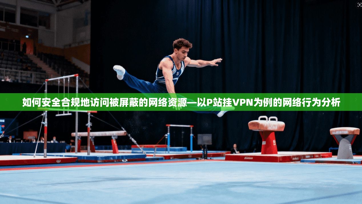 如何安全合规地访问被屏蔽的网络资源—以P站挂VPN为例的网络行为分析