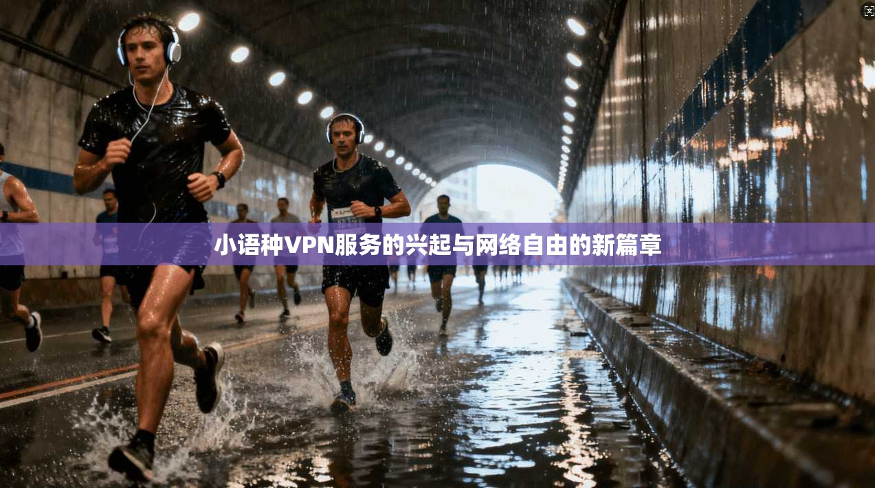 小语种VPN服务的兴起与网络自由的新篇章
