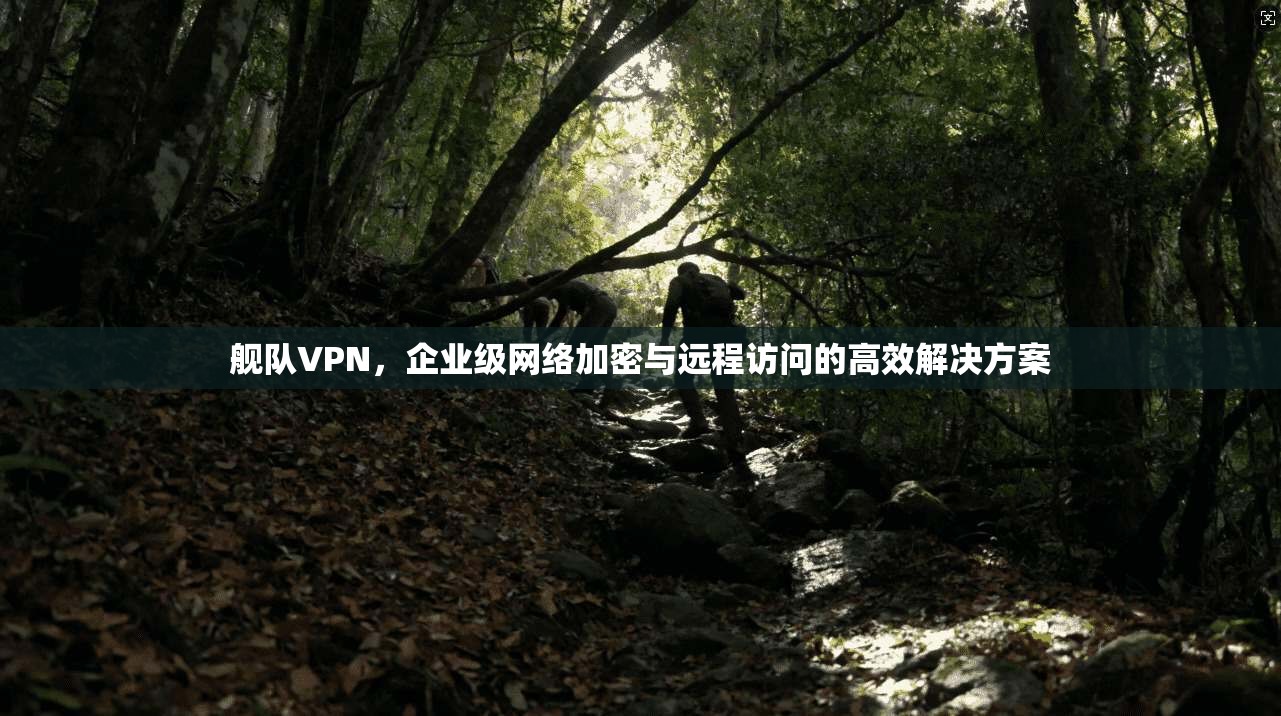舰队VPN,企业级网络加密与远程访问的高效解决方案