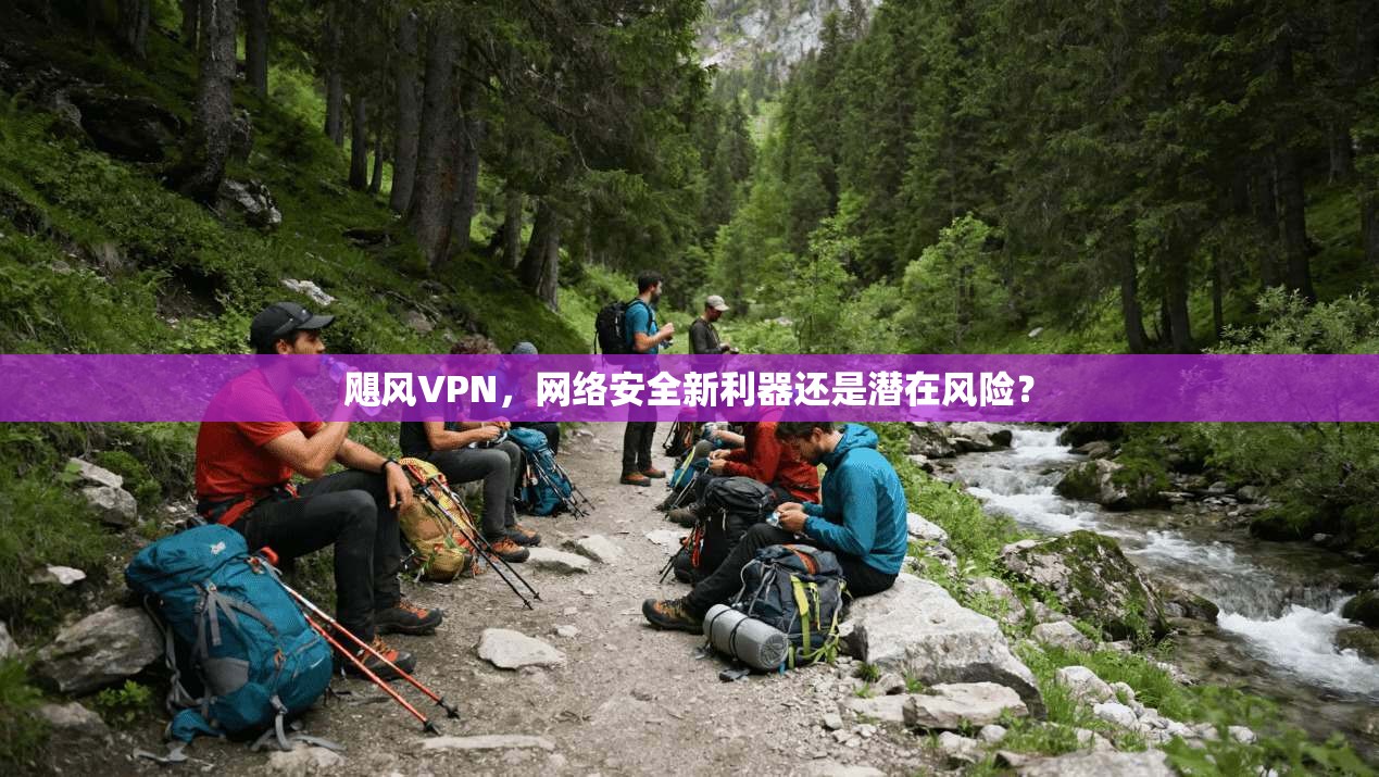 飓风VPN,网络安全新利器还是潜在风险?