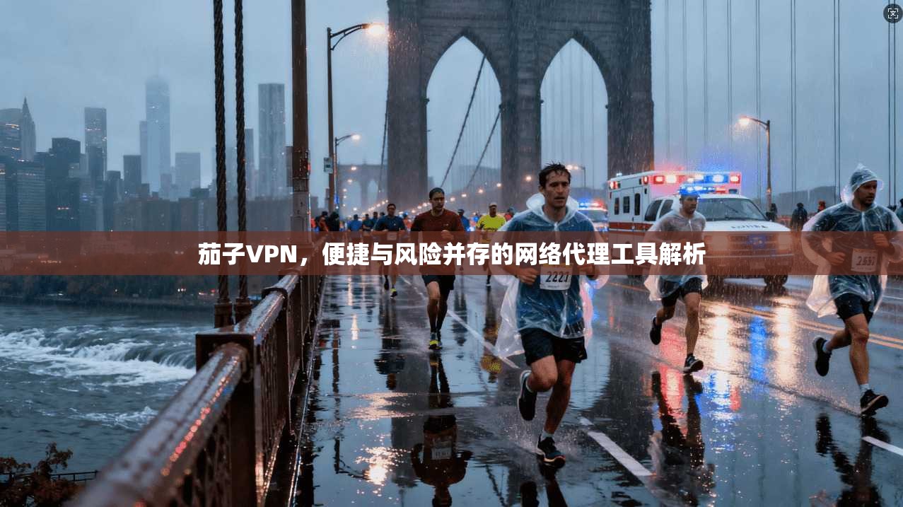茄子VPN,便捷与风险并存的网络代理工具解析