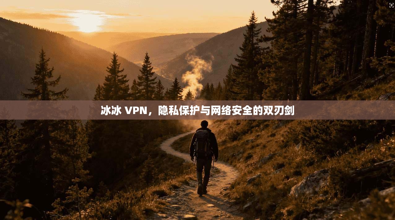 冰冰 VPN,隐私保护与网络安全的双刃剑