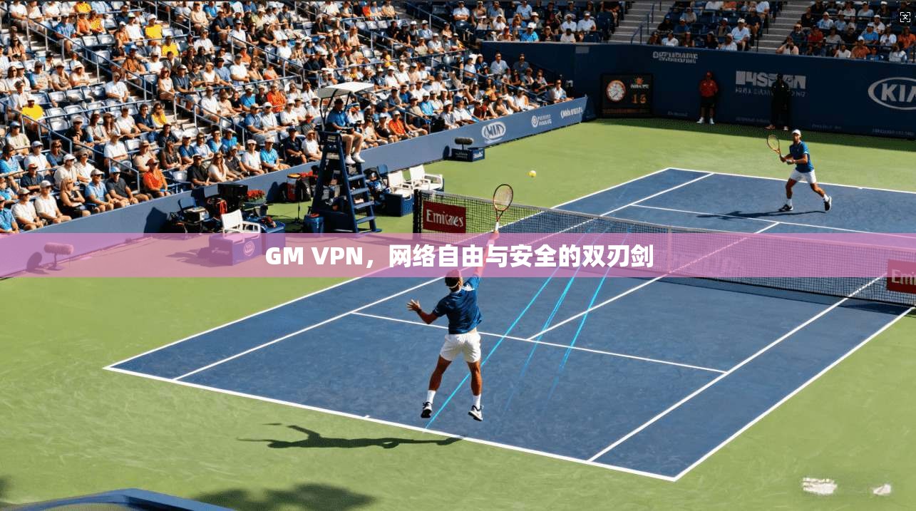 GM VPN,网络自由与安全的双刃剑
