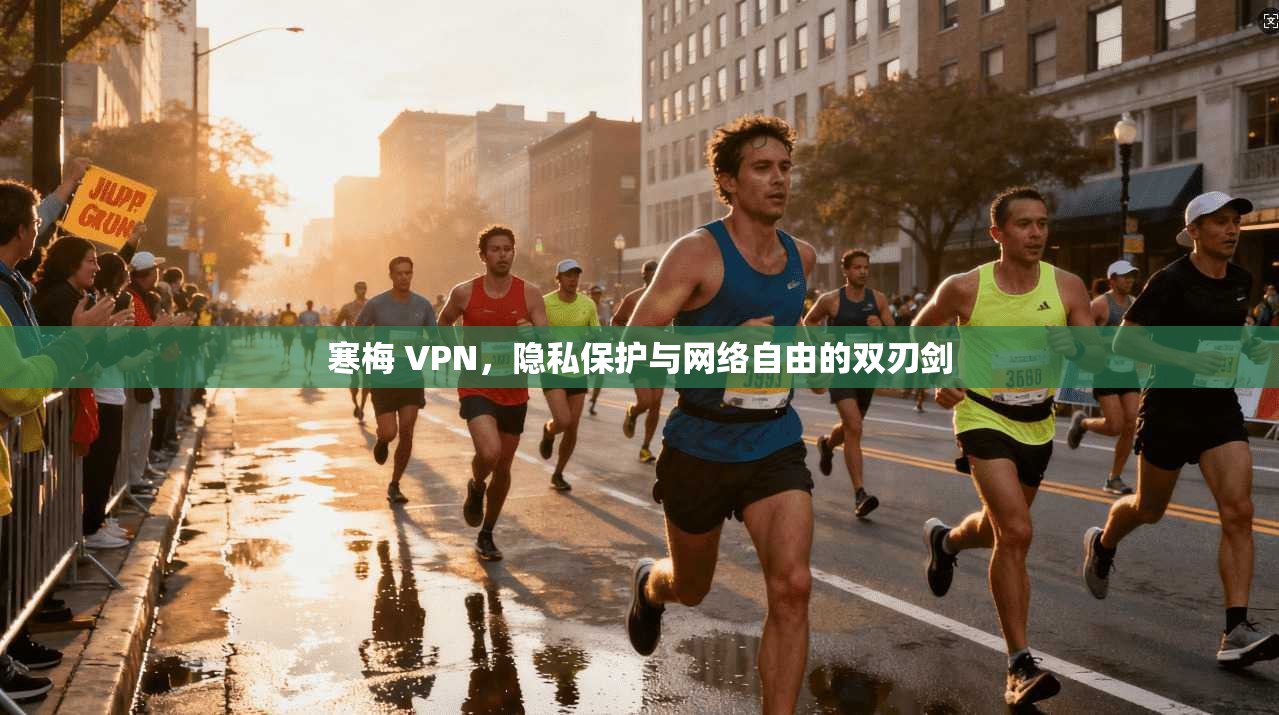 寒梅 VPN，隐私保护与网络自由的双刃剑
