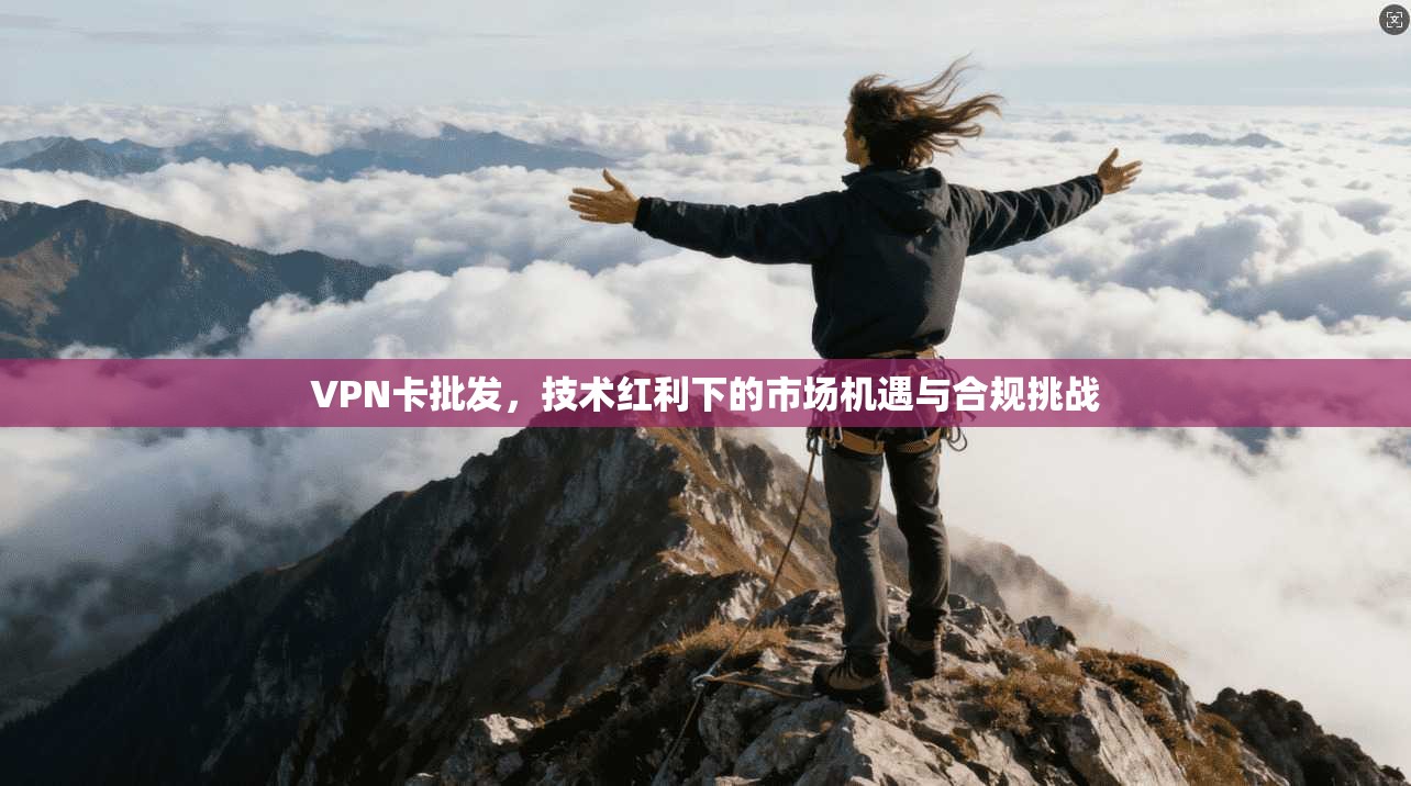 VPN卡批发，技术红利下的市场机遇与合规挑战