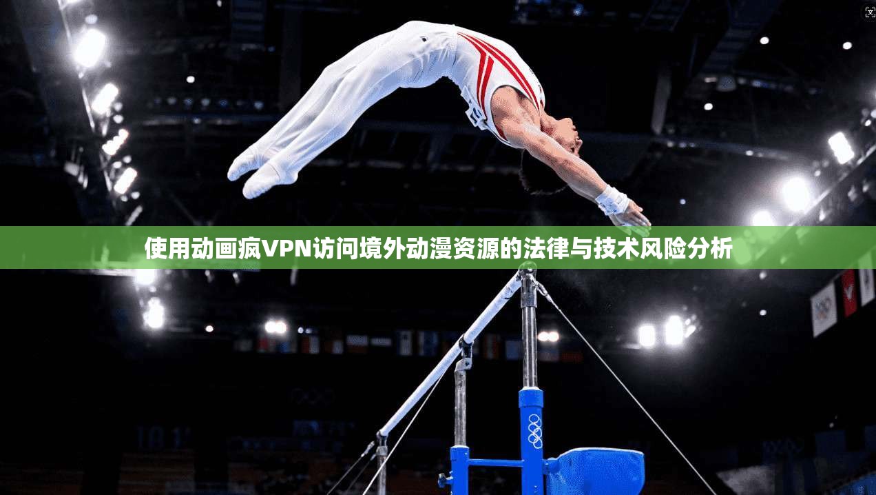 使用动画疯VPN访问境外动漫资源的法律与技术风险分析