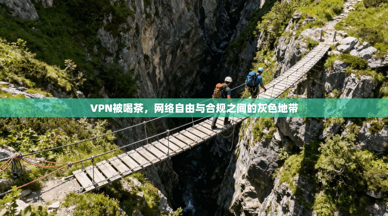 VPN被喝茶,网络自由与合规之间的灰色地带